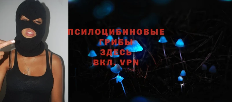 нарко площадка формула  Задонск  Галлюциногенные грибы Magic Shrooms 